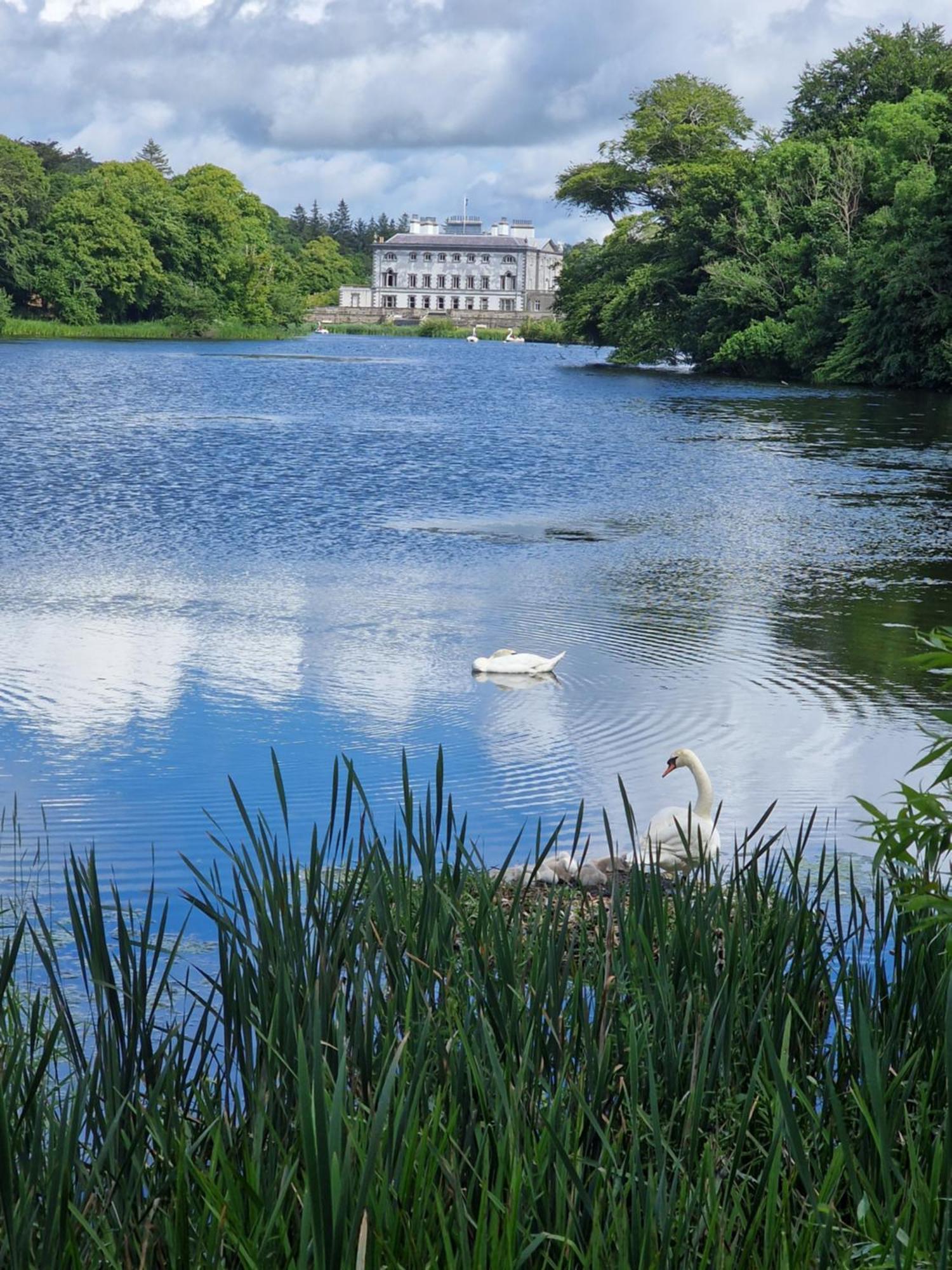 Greenside B&B Westport Kültér fotó